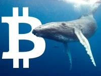 Bitcoin Whales: They're Just Playing You. - Price Swings Incoming